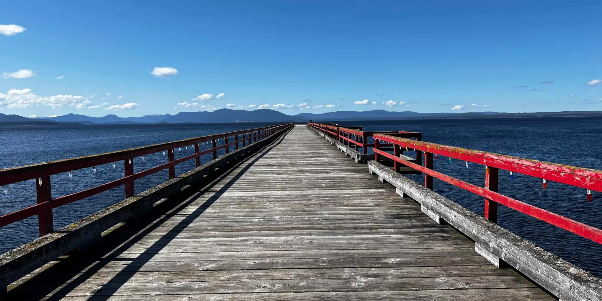 Image of Anywhere Boss Image of Anywhere Boss